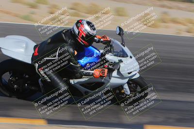 media/Nov-11-2023-SoCal Trackdays (Sat) [[efd63766ff]]/Turn 12 Inside (940am)/